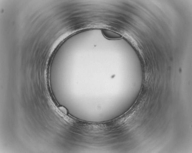 X0000087370947200705111707