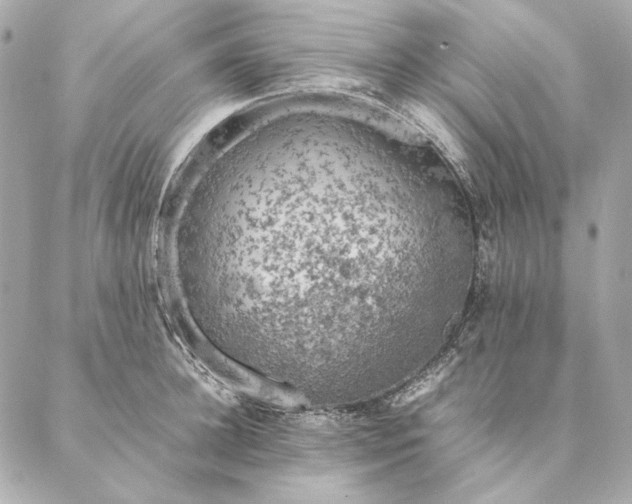 X0000087370948200705111707