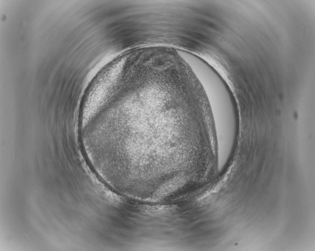 X0000087370949200705111707