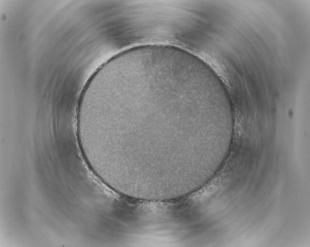 X0000087370950200705111707