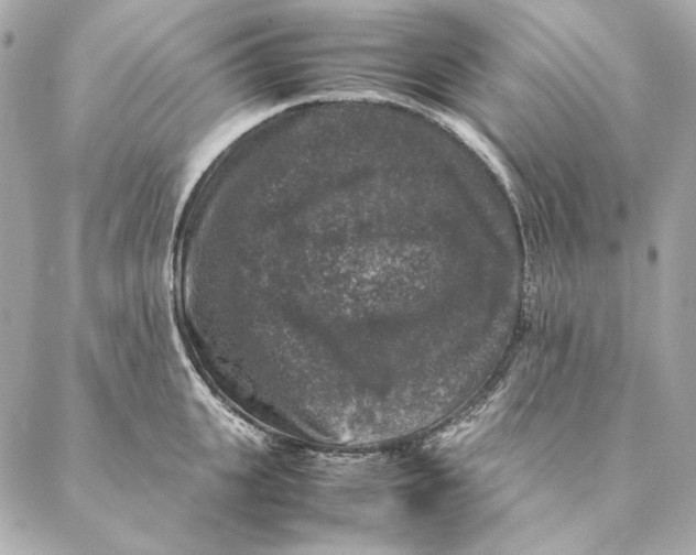 X0000087370951200705111707