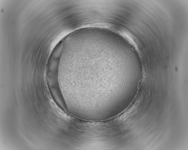 X0000087370952200705111707