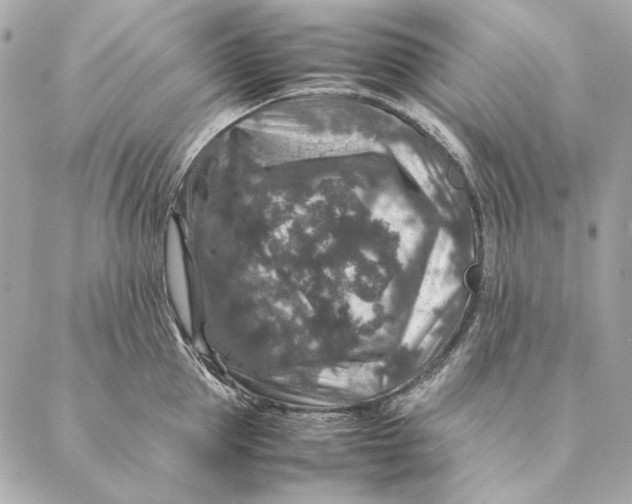 X0000087370953200705111707