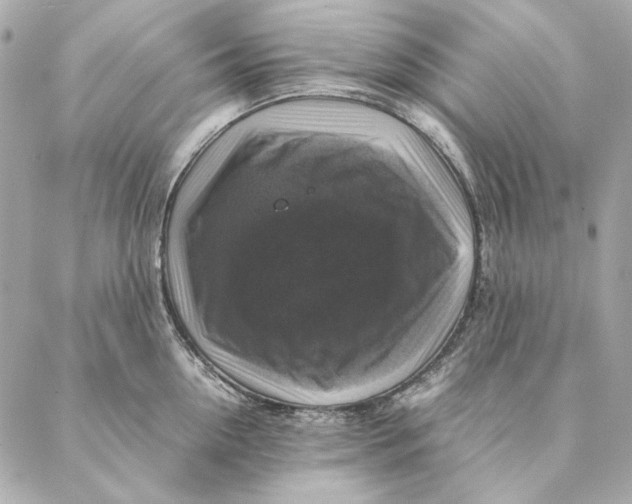 X0000087370954200705111707