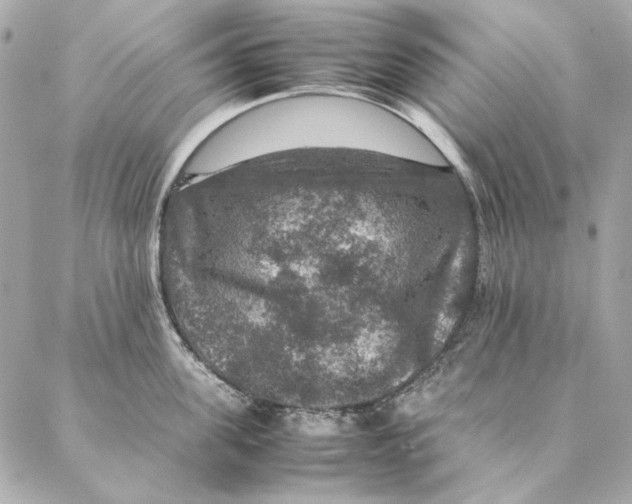 X0000087370955200705111707