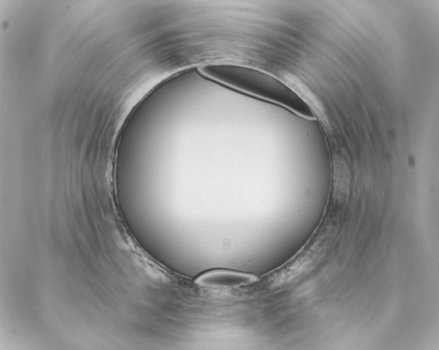 X0000087370956200705111707