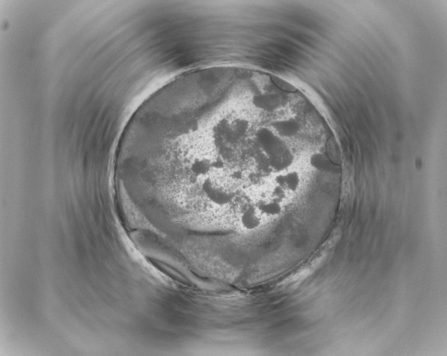 X0000087370957200705111707