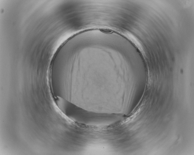 X0000087370958200705111707