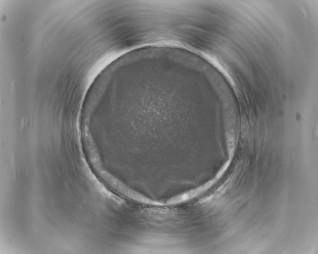 X0000087370959200705111707