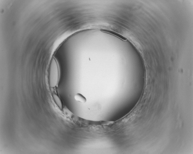 X0000087370960200705111707