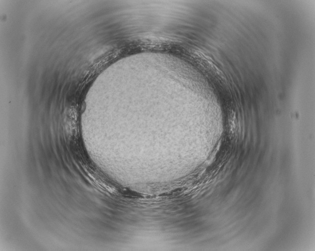 X0000087370964200705111706