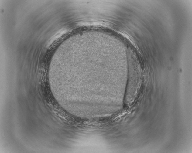 X0000087370967200705111706