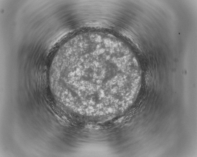 X0000087370968200705111706