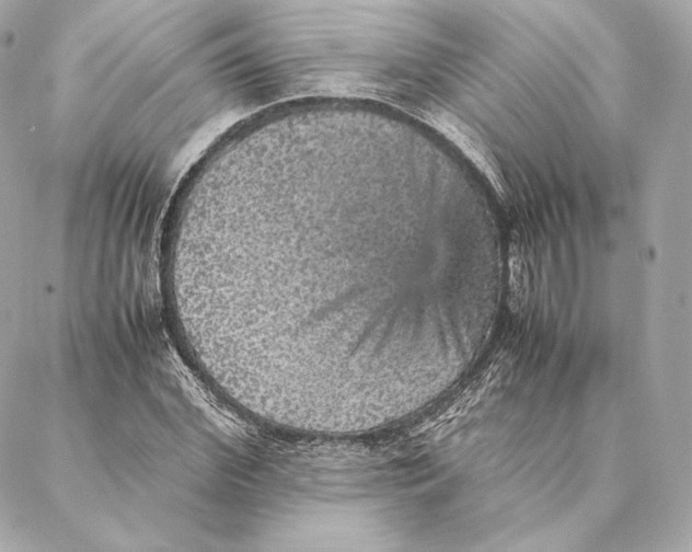 X0000087370972200705111706