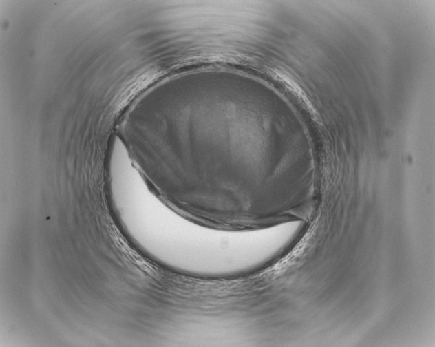 X0000087370977200705111706