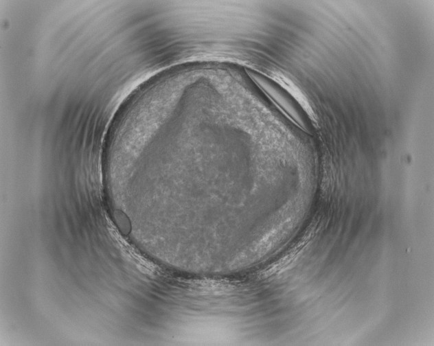 X0000087370980200705111706