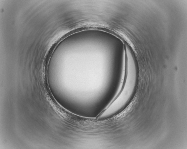 X0000087370981200705111706