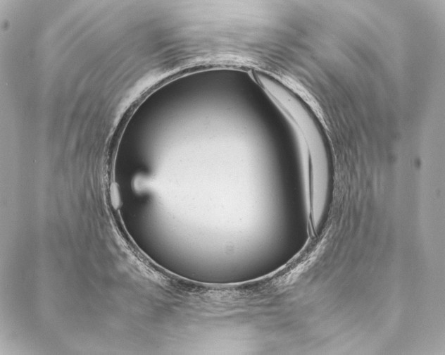 X0000087370989200705111705