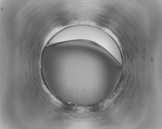 X0000087371005200705111705