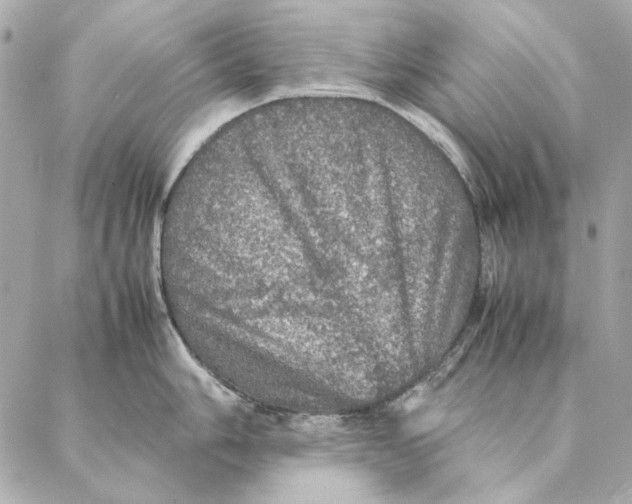 X0000087371006200705111705