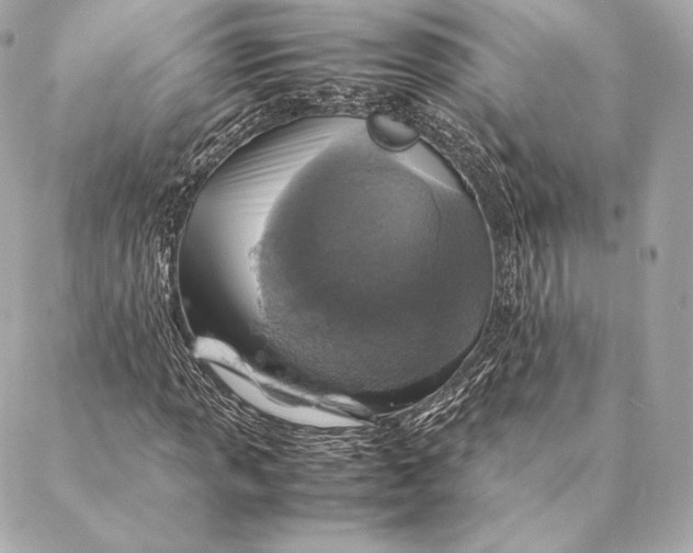 X0000087371013200705111704