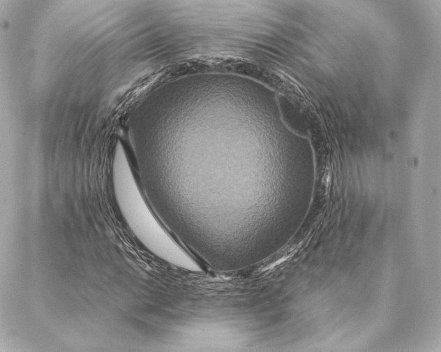 X0000087371014200705111704