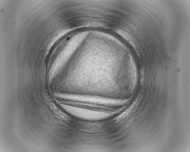 X0000087371021200705111705