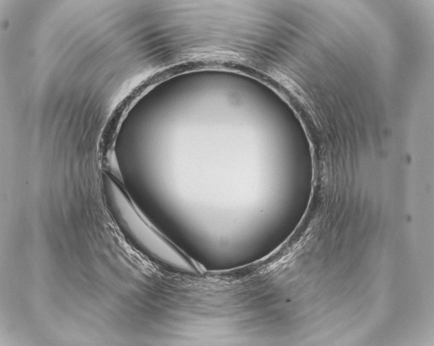 X0000087371022200705111705