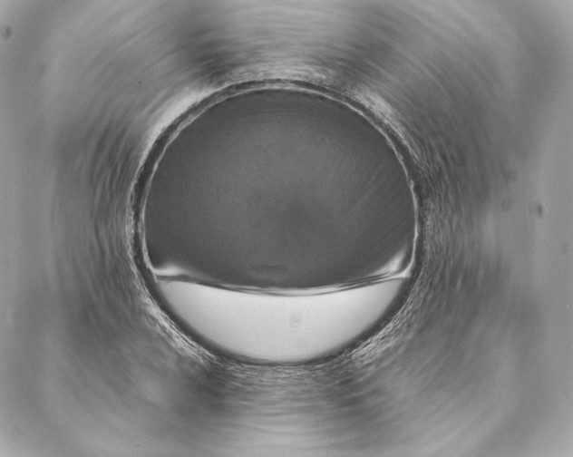 X0000087371024200705111705