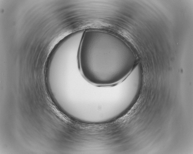 X0000087371026200705111705