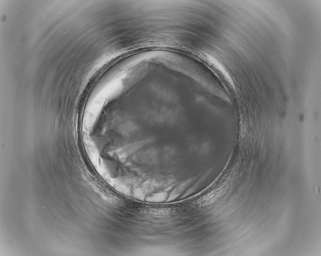 X0000087371035200705111705