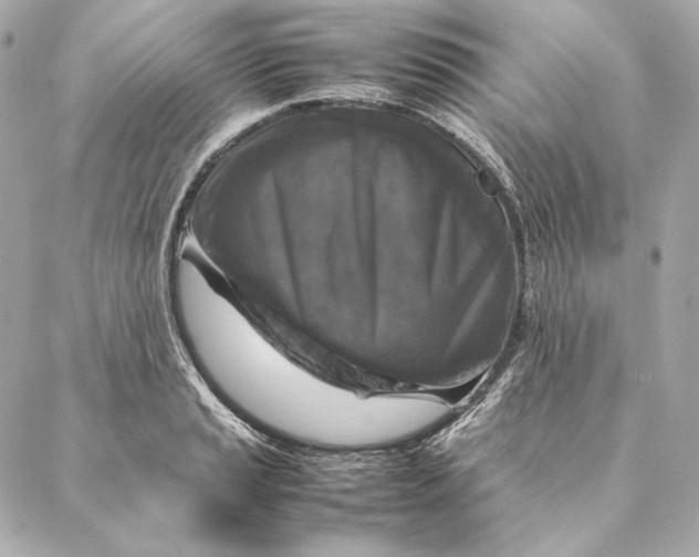 X0000087371037200705111705