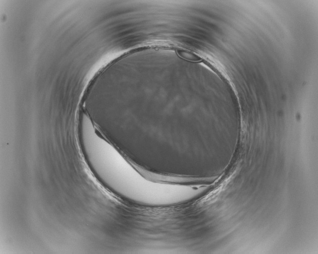 X0000087371045200705111705