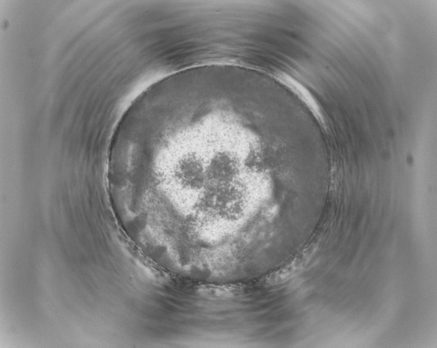 X0000087371051200705111705
