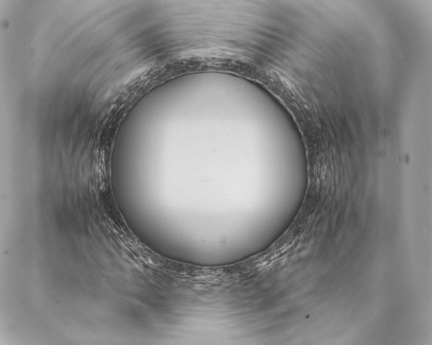 X0000087371062200705111704