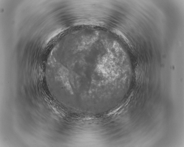 X0000087371064200705111704