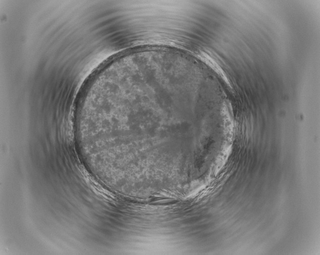 X0000087371068200705111704