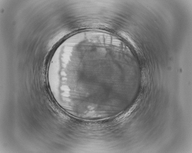 X0000087371071200705111704