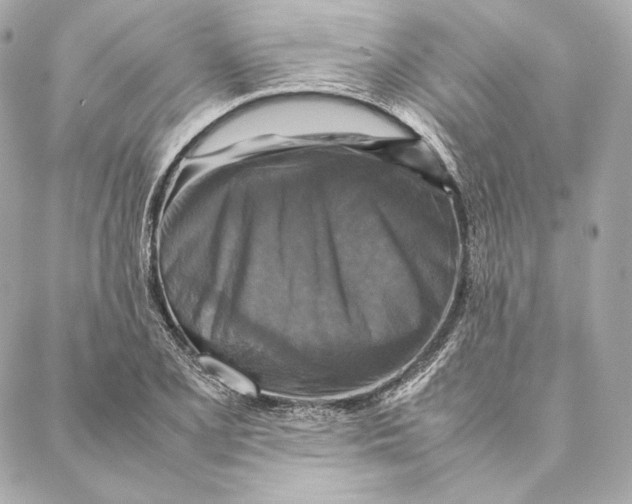 X0000087371077200705111704