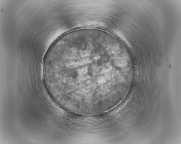 X0000087371079200705111704