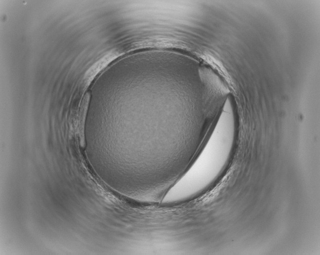 X0000087371081200705111704
