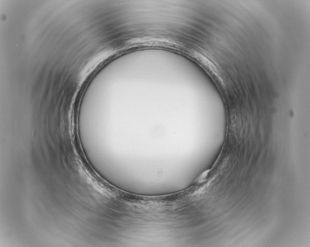 X0000087371082200705111704