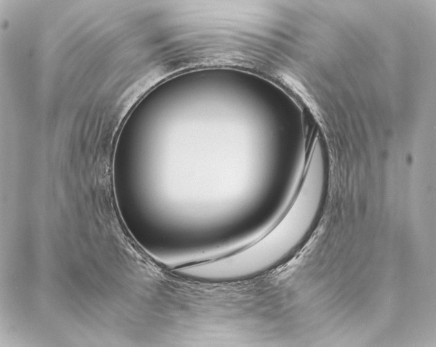 X0000087371089200705111704