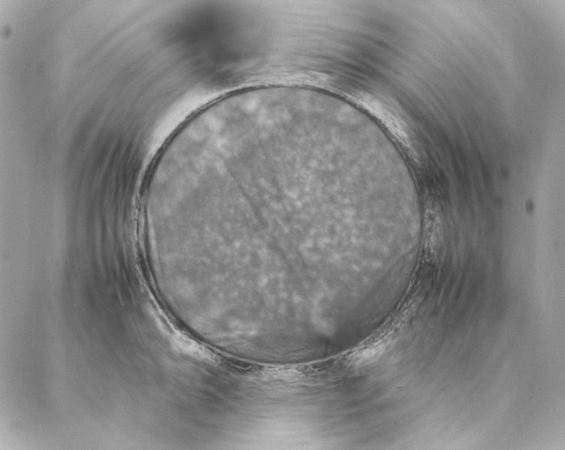 X0000087371094200705111704