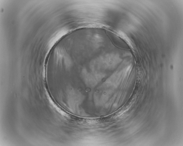 X0000087371095200705111704