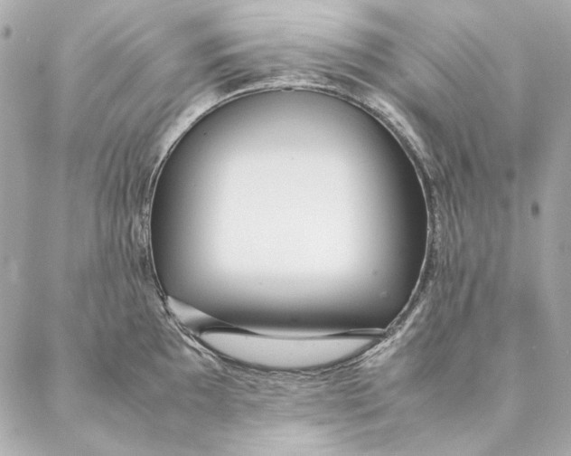 X0000087371097200705111704