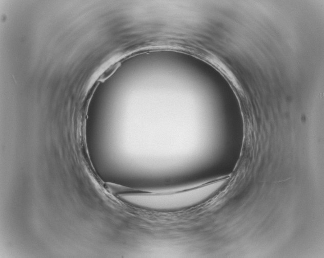 X0000087371101200705111704