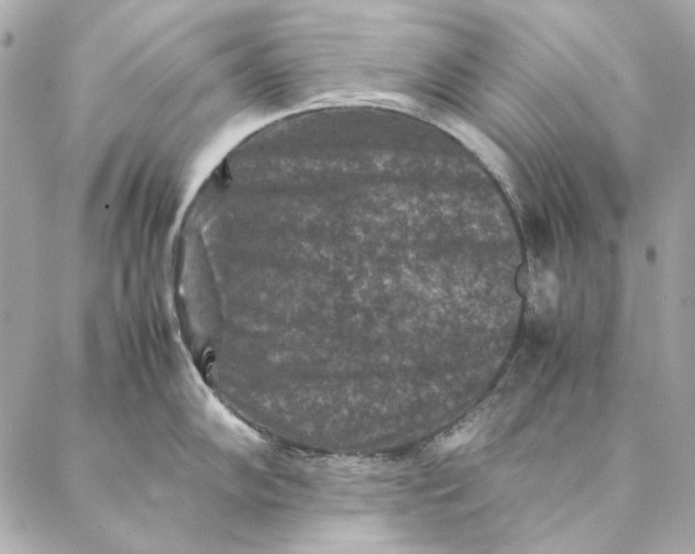 X0000087371102200705111704