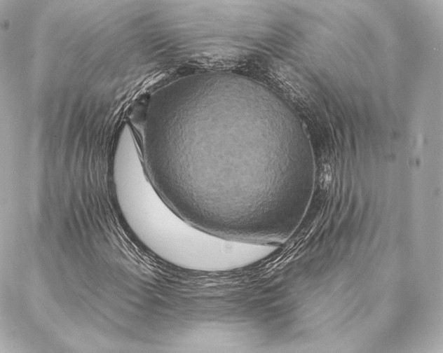 X0000087371108200705111703