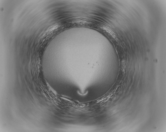 X0000087371111200705111703